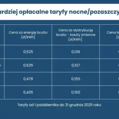 Tauron: Ile kosztuje prąd? Stawki, taryfy i Twój rachunek