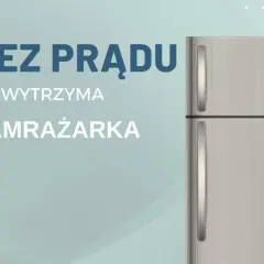 Ile wytrzyma zamrażarka bez prądu? Kluczowe informacje o bezpieczeństwie jedzenia
