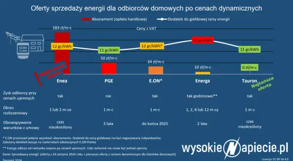 Enea: Ile kosztuje 1 kWh prądu? Rozkład kosztów i taryfy